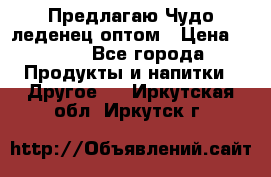 Предлагаю Чудо леденец оптом › Цена ­ 200 - Все города Продукты и напитки » Другое   . Иркутская обл.,Иркутск г.